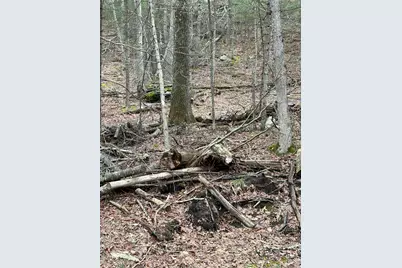 0 Red Hill Road, Wurtsboro, NY 12790 - Photo 9
