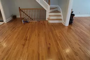 227 Calhoun Ave, Bronx, NY 10465 - Photo 5