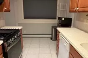 717 Willis Ave, Williston Park, NY 11596 - Photo 9