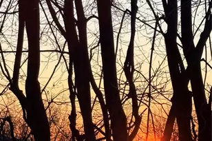 10 Skinner Ct, Tomkins Cove, NY 10986 - Photo 39