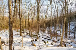 7 Fern Trail, Wurtsboro, NY 12790 - Photo 41