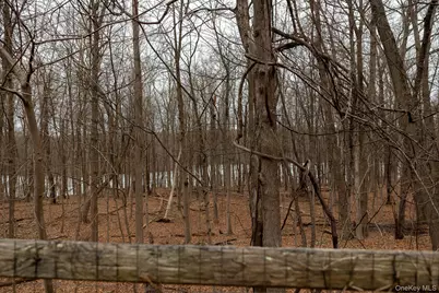 172 Farmingdale Road, Blooming Grove, NY 10914 - Photo 41