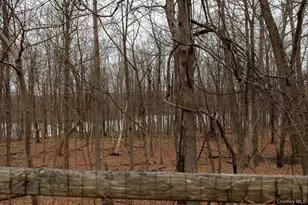 172 Farmingdale Rd, Blooming Grove, NY 10914 - Photo 41