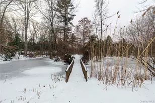 17 Stonegate Dr, Hyde Park, NY 12538 - Photo 39