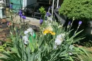 703 Fresh Pond Ave, Calverton, NY 11933 - Photo 19