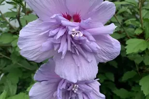 703 Fresh Pond Ave, Calverton, NY 11933 - Photo 17