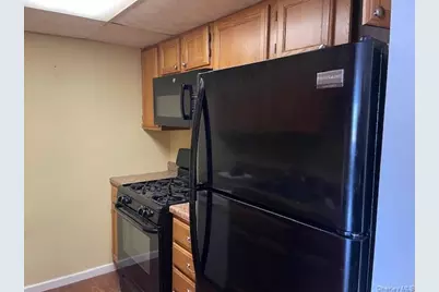 100 Clinton Avenue #4P, Mineola, NY 11501 - Photo 15