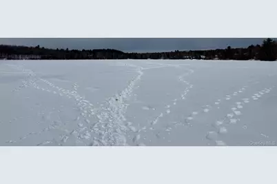 4 Ray Lane, Loch Sheldrake, NY 12733 - Photo 25