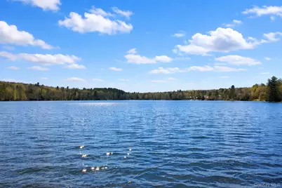 4 Ray Lane, Loch Sheldrake, NY 12733 - Photo 27
