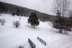 161 Hazel Rd, Livingston Manor, NY 12758 - Photo 11