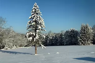 191 Rose Rd, Woodbourne, NY 12788 - Photo 39