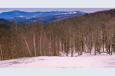 890 Bald Mountain Road, Austerlitz, NY 12017 - Photo 3