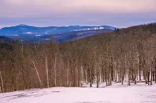 890 Bald Mountain Rd, Austerlitz, NY 12017 - Photo 3