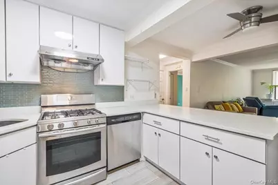 275 Webster Avenue #4i, Brooklyn, NY 11230 - Photo 5