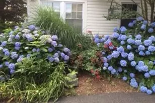 8 Ridgeland Terrace, Rye, NY 10580 - Photo 21