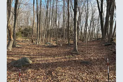 Salem Road, Pound Ridge, NY 10576 - Photo 3