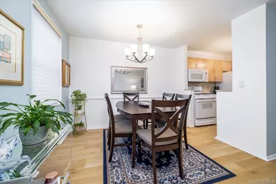 3 Birchwood Court #2J, Mineola, NY 11501 - Photo 9