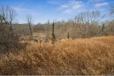 256 Smith Ridge Road, South Salem, NY 10590 - Photo 25