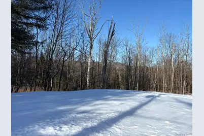 241 W Lake Street, Liberty, NY 12754 - Photo 19