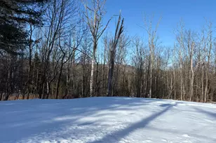 241 W Lake St, Liberty, NY 12754 - Photo 19