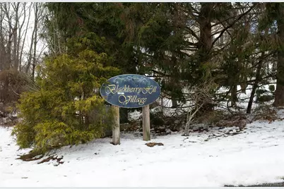 3202 Village Drive, Brewster, NY 10509 - Photo 31