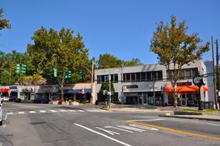 111 E Hartsdale Ave, Hartsdale, NY 10530 - Photo 41