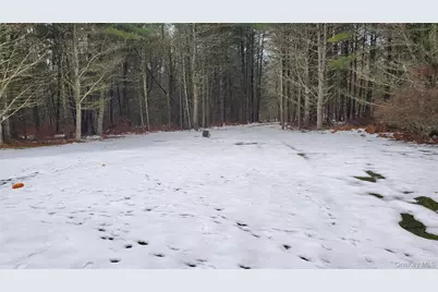 807 Beaver Brook Road, Narrowsburg, NY 12764 - Photo 25