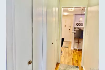 100 Lincoln Avenue #5C, Mineola, NY 11501 - Photo 13