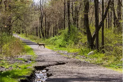414 Benedict Avenue #1D, Tarrytown, NY 10591 - Photo 25