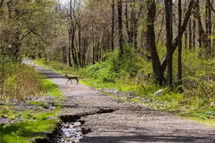 414 Benedict Ave, Tarrytown, NY 10591 - Photo 25