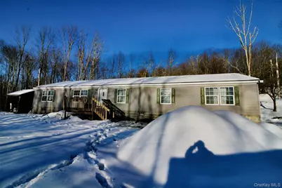 76 Parks Road, Livingston Manor, NY 12758 - Photo 1