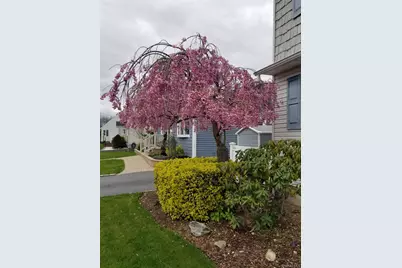 493 Kell Place, Seaford, NY 11783 - Photo 5