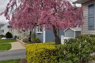 493 Kell Pl, Seaford, NY 11783 - Photo 5