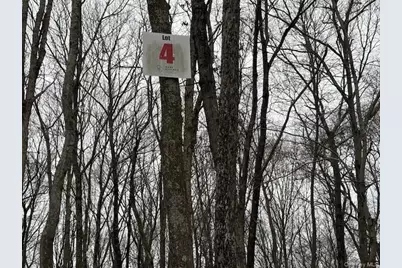 Lot 4 Lockwood Road, South Salem, NY 10590 - Photo 5