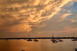 77 Buckley St, Bronx, NY 10464 - Photo 37