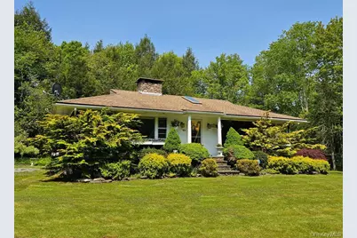 172 Wards Road, Livingston Manor, NY 12758 - Photo 1