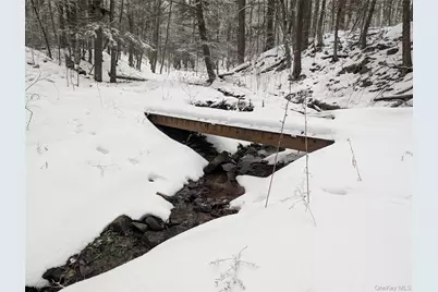 Heinle Road E, Swan Lake, NY 12783 - Photo 11