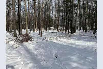 Lot 29 Kenoza Trail, Callicoon, NY 12723 - Photo 21