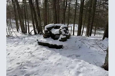 Lot 29 Kenoza Trail, Callicoon, NY 12723 - Photo 15