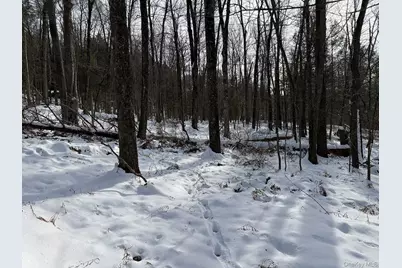 Lot 29 Kenoza Trail, Callicoon, NY 12723 - Photo 11