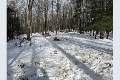 Lot 29 Kenoza Trail, Callicoon, NY 12723 - Photo 19