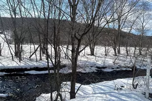 290 Gulf Rd, Roscoe, NY 12776 - Photo 5