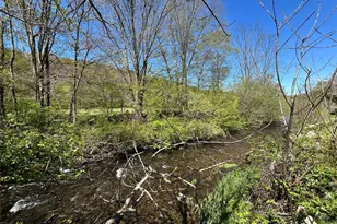 290 Gulf Rd, Roscoe, NY 12776 - Photo 7