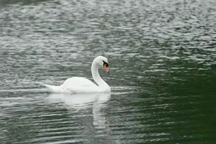 42 Towd Point Rd, Southampton, NY 11968 - Photo 23