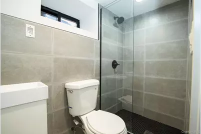 445 E 46th Street, Brooklyn, NY 11203 - Photo 15