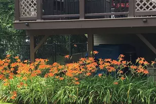 74 Lauren Ave, Dix Hills, NY 11746 - Photo 43