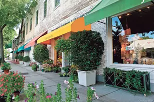 15 Meadow Ave, Bronxville, NY 10708 - Photo 29