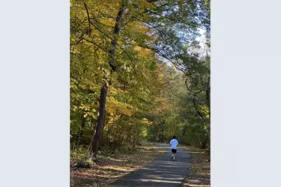 15 Meadow Avenue #6, Bronxville, NY 10708 - Photo 27