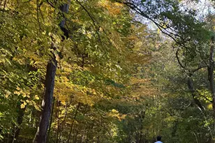 15 Meadow Ave, Bronxville, NY 10708 - Photo 27