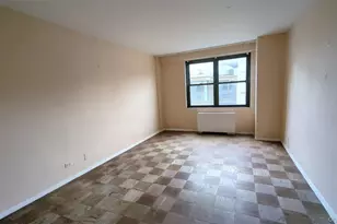 245 E 25th St, New York, NY 10010 - Photo 11